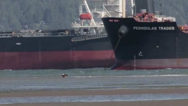 Fechar Visualização Navios Carga Vancouver Canadá — Vídeo de Stock