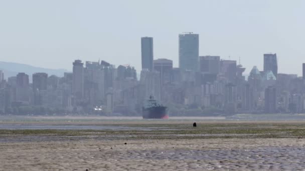 Panorámás Kilátás Nyílik Tartályhajó Vancouver Városkép Háttér — Stock videók