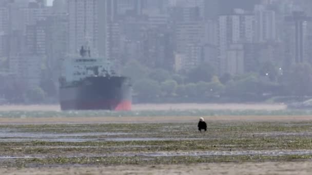 Vista Panorâmica Petroleiro Com Vancouver Skyline Segundo Plano — Vídeo de Stock