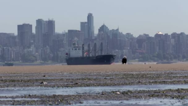 Vue Panoramique Pétrolier Avec Vancouver Skyline Arrière Plan — Video