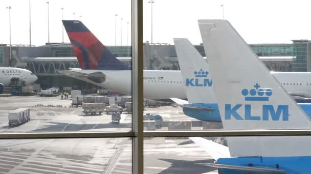 Malebný Pohled Letadla Letišti Schiphol Amsterdamu — Stock video