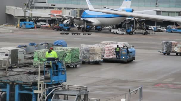 Dlouhý Záběr Buisy Dráhy Letišti Schiphol Amsterdam — Stock video