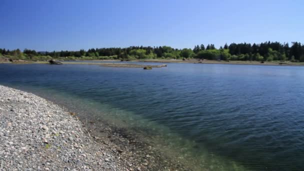 美丽的湖在加拿大拍摄 — 图库视频影像