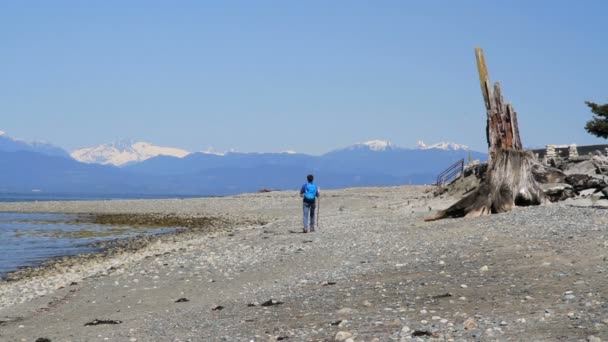 Stetige Aufnahme Von Einsamen Manwalking Ufer Der Berge Kanada — Stockvideo