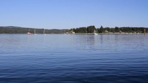 Panoramiczny Widok Jezioro Jachtów Kanada — Wideo stockowe