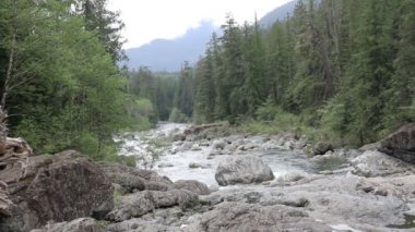 Vancouver Adası, Kanada Nehri'nin doğal görünümü
