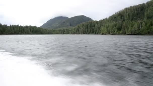 Doğal Görünümünü Vancouver Lake Amerika Birleşik Devletleri — Stok video