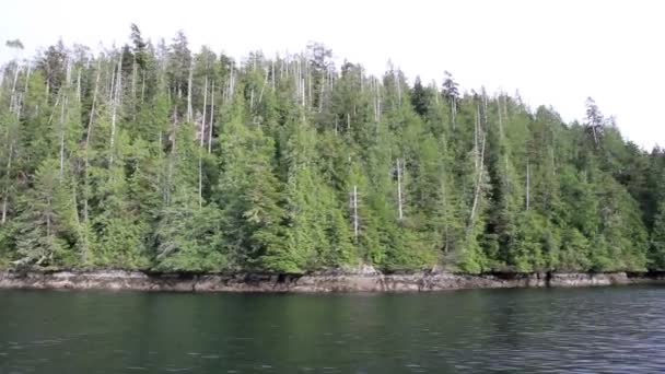 Γραφική Θέα Στη Λίμνη Του Βανκούβερ Καναδάς — Αρχείο Βίντεο