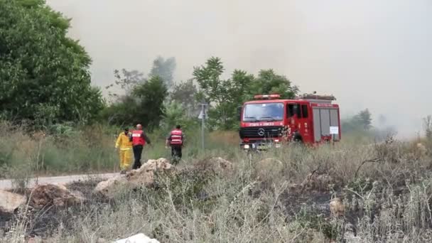 Пожарные Работающие Вблизи Горящего Леса Иерусалим Израиль — стоковое видео