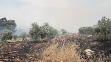 Doğal görünümünü Jerusalem ormandaki orman yangını