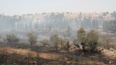 Kudüs'ü orman manzaralı görünümü sonra orman yangını