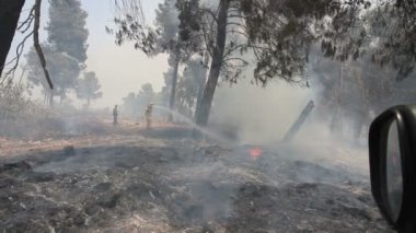 Orman, Kudüs, İsrail yanan yakın çalışan itfaiyeciler