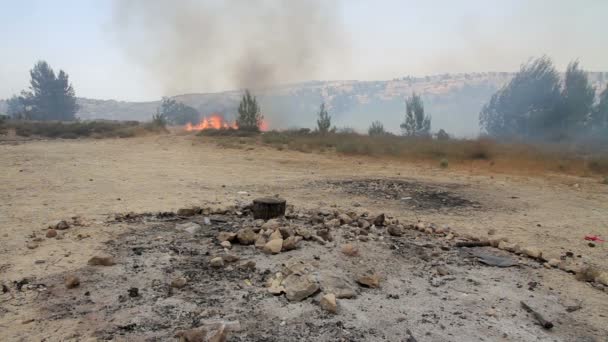 Vista Panoramica Degli Incendi Boschivi Nella Foresta Gerusalemme — Video Stock