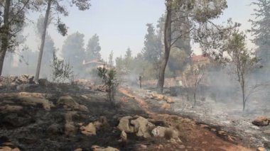 Kudüs'ü orman manzaralı görünümü sonra orman yangını