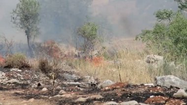 Doğal görünümünü Jerusalem ormandaki orman yangını