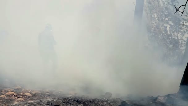在焚烧森林附近工作的消防员 耶路撒冷 以色列 — 图库视频影像