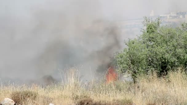 Мальовничим Видом Лісова Пожежа Єрусалимі Ліс — стокове відео