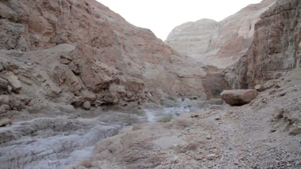 Γραφική Θέα Του Βραχώδους Wadi Στην Ιουδαϊκή Έρημο Του Ισραήλ — Αρχείο Βίντεο