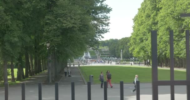 Spaziergänger Grünen Park Der Stadt Oslo Norwegen — Stockvideo