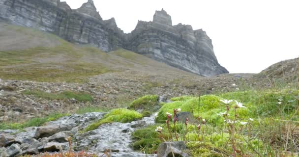 Vista Ravvicinata Dell Acqua Fusione Della Neve Spitsbergen Norvegia — Video Stock