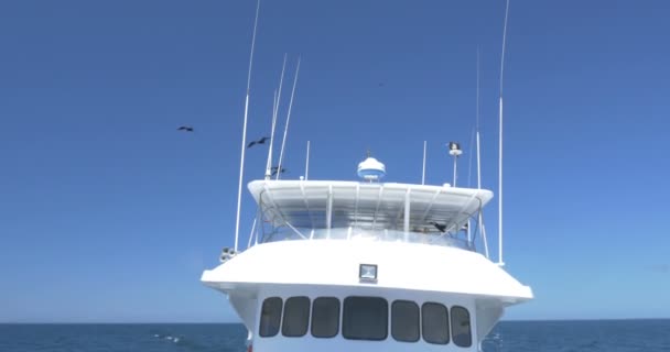 华丽的 Frigatebirds 飞过白色的小船 — 图库视频影像