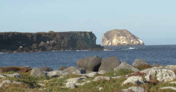 Vista Panorámica Las Islas Galápagos Bajo Cielo Azul — Vídeo de stock