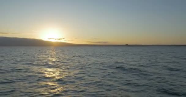 Galapagos Seascape Med Rolig Vandoverflade – Stock-video