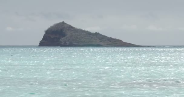 Schilderachtig Uitzicht Galapagos Island Rotsen Blauw Water — Stockvideo