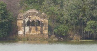 Tapınak Gölü ranthambore Ulusal Park, Hindistan