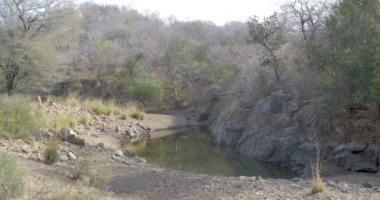 Su kuyusu ranthambore Ulusal Park, Hindistan