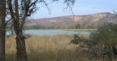 Ranthambore Milli Parkı, Hindistan Peyzaj doğal görünümünü