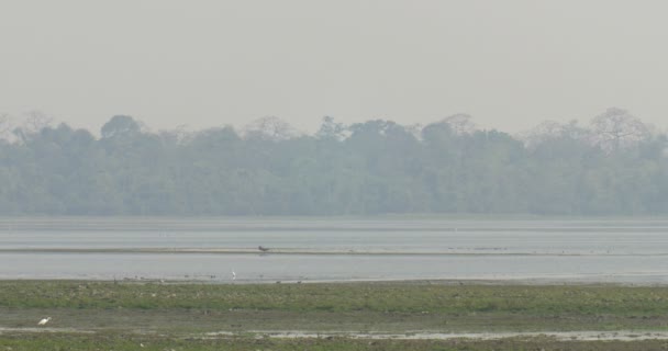 Vue Panoramique Paysage Lumière Jour Parc National Ranthambore — Video