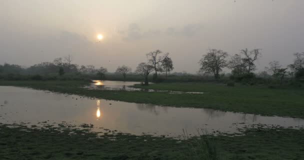 Vista Panorâmica Parque Nacional Kaziranga Pôr Sol Índia — Vídeo de Stock