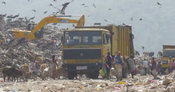 Nákladní Bagr Lokalitě Odpadků Guwahati Vypíše Web Indie — Stock video