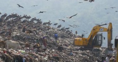 Doğal görünümünü insanlar, leylek ve inek Guwahati çöplükte Site, Hindistan