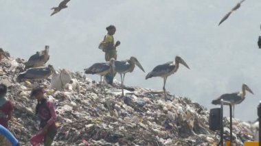 Site, Hindistan Hint kız atıldığı Guwahati içinde üzerinde ayakta döker