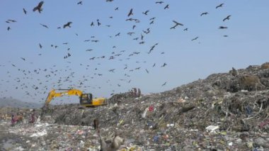 Yavaş hareket insanlar, leylek ve inekler Guwahati çöplükte Site, Hindistan