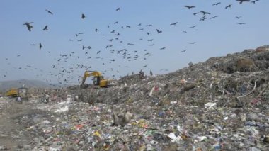 Yavaş hareket insanlar, leylek ve inekler Guwahati çöplükte Site, Hindistan