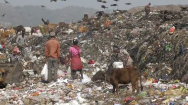 Yavaş hareket insanlar, leylek ve inekler Guwahati çöplükte Site, Hindistan