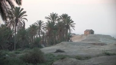 Tarihi grove palmiye ve çamur kulübe, Jericho, Dead Sea, Israel