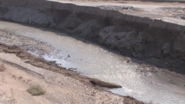 Doğal görünümünü Jordan River gorge, İsrail