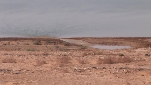 Rio Jordão Fluindo Para Mar Morto Israel — Vídeo de Stock