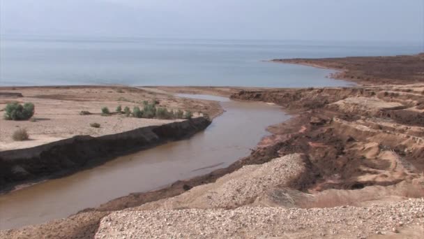 Jordaan Stroomt Dode Zee Israël — Stockvideo