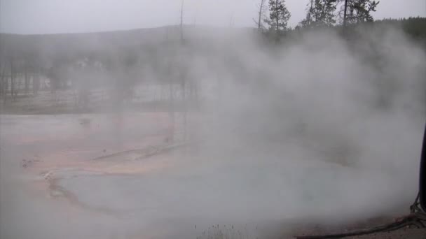 Vue panoramique de Gazer dans le parc national de Yellowstone, États-Unis 