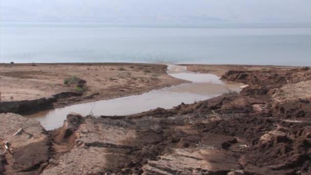 Río Jordán Desemboca Mar Muerto Israel — Vídeos de Stock