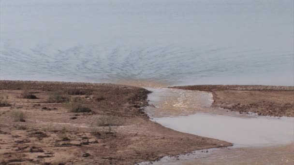 Río Jordán Desemboca Mar Muerto Israel — Vídeo de stock