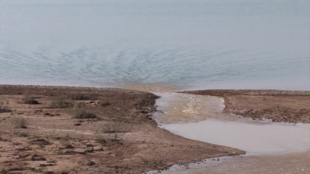 Jordaan Stroomt Dode Zee Israël — Stockvideo