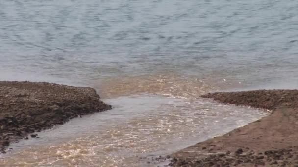 约旦河流入死海 以色列 — 图库视频影像