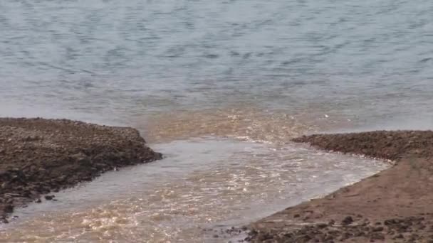 Rio Jordão Fluindo Para Mar Morto Israel — Vídeo de Stock