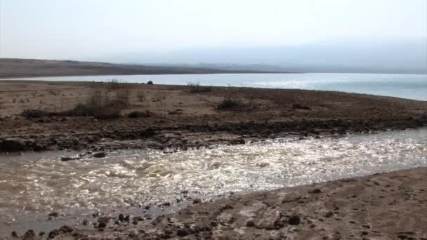 Río Jordán Desemboca Mar Muerto Israel — Vídeo de stock